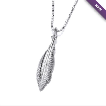 Single feather spirit drop pendant and chain.